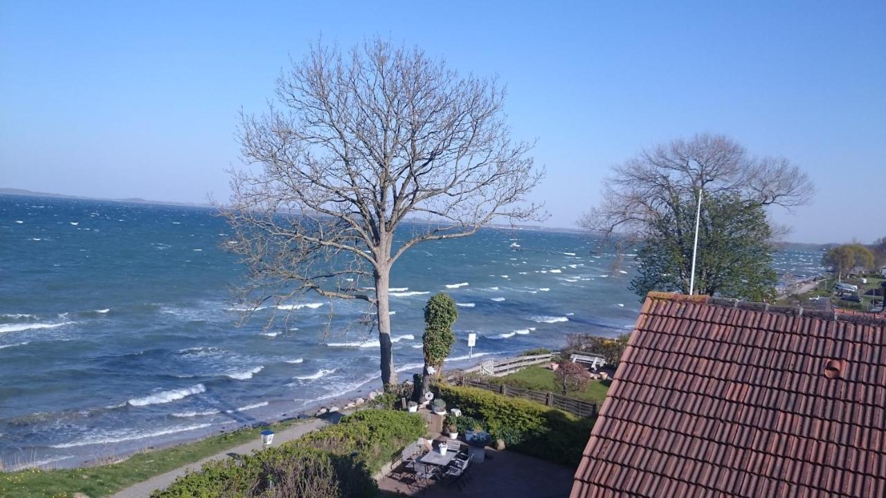 Strandappartements Steinberghaff "Kegnaes" Mit Meerblick Und Sauna Steinberg  Exteriör bild