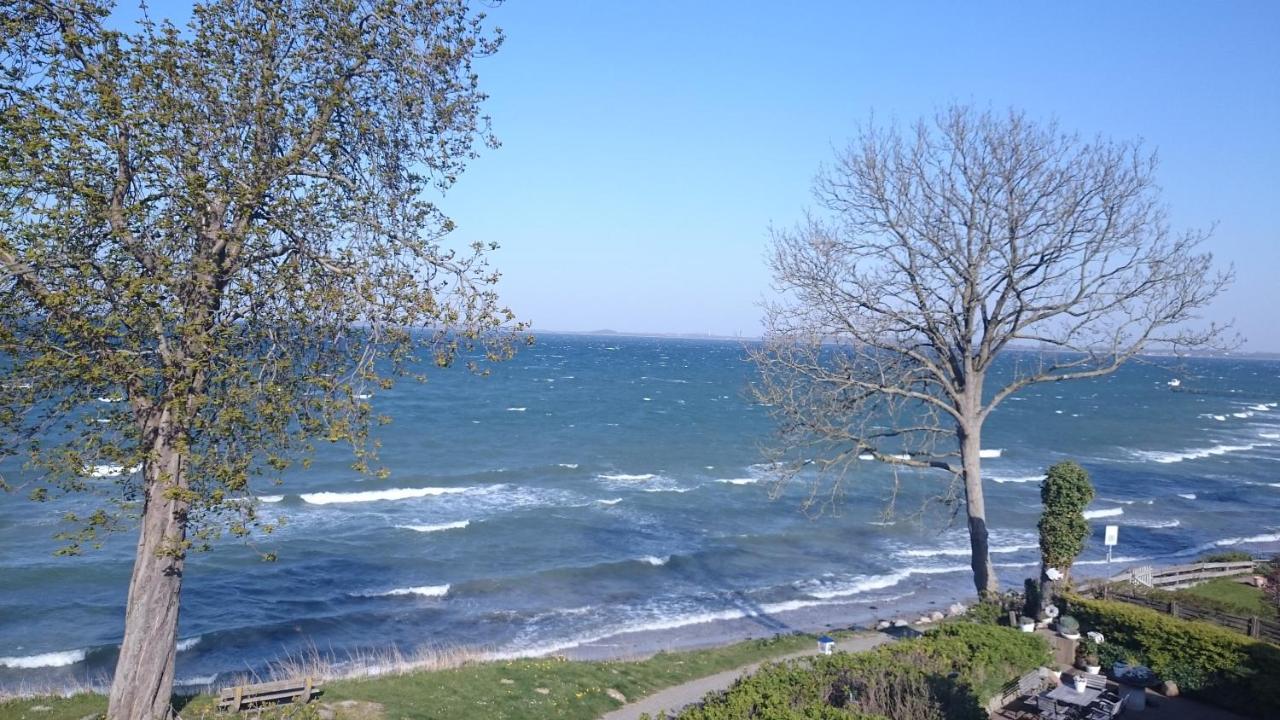Strandappartements Steinberghaff "Kegnaes" Mit Meerblick Und Sauna Steinberg  Exteriör bild