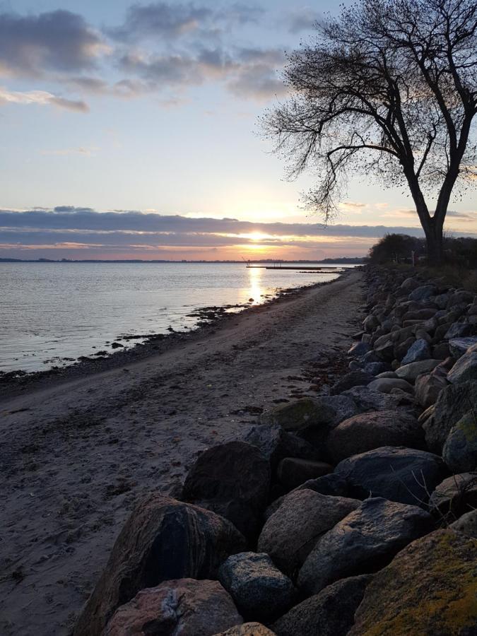 Strandappartements Steinberghaff "Kegnaes" Mit Meerblick Und Sauna Steinberg  Exteriör bild