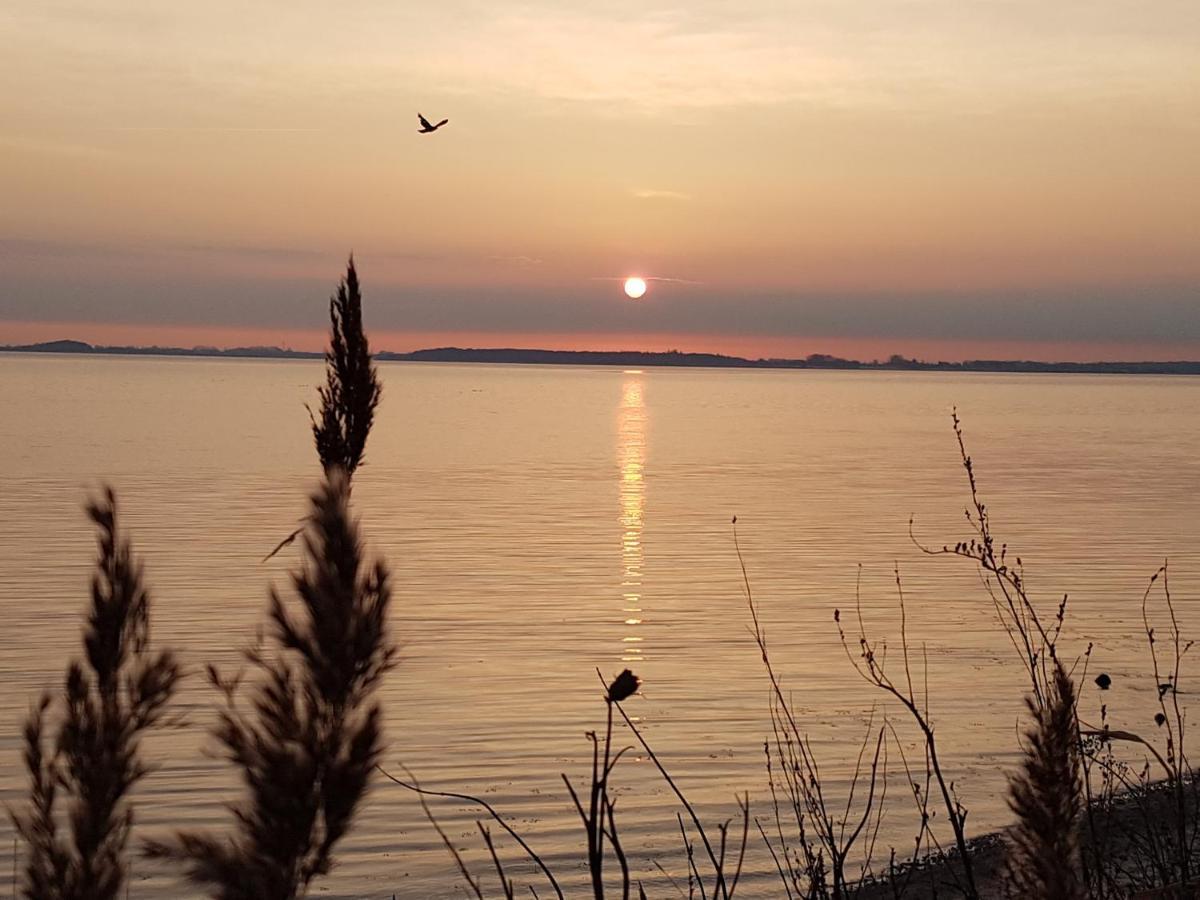 Strandappartements Steinberghaff "Kegnaes" Mit Meerblick Und Sauna Steinberg  Exteriör bild